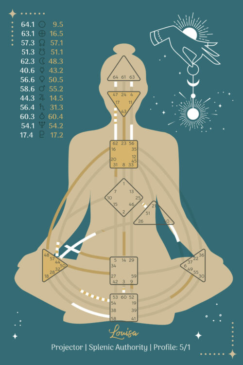 human-design-chart-astro-muster